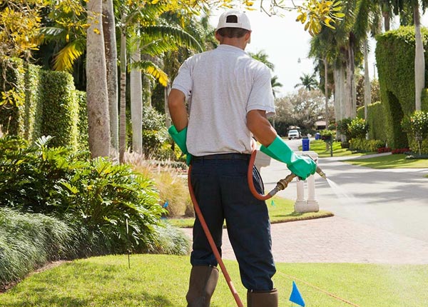 About Wantagh NY Pest Control Pros